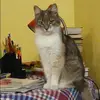 Отзыв от Венера Логинова